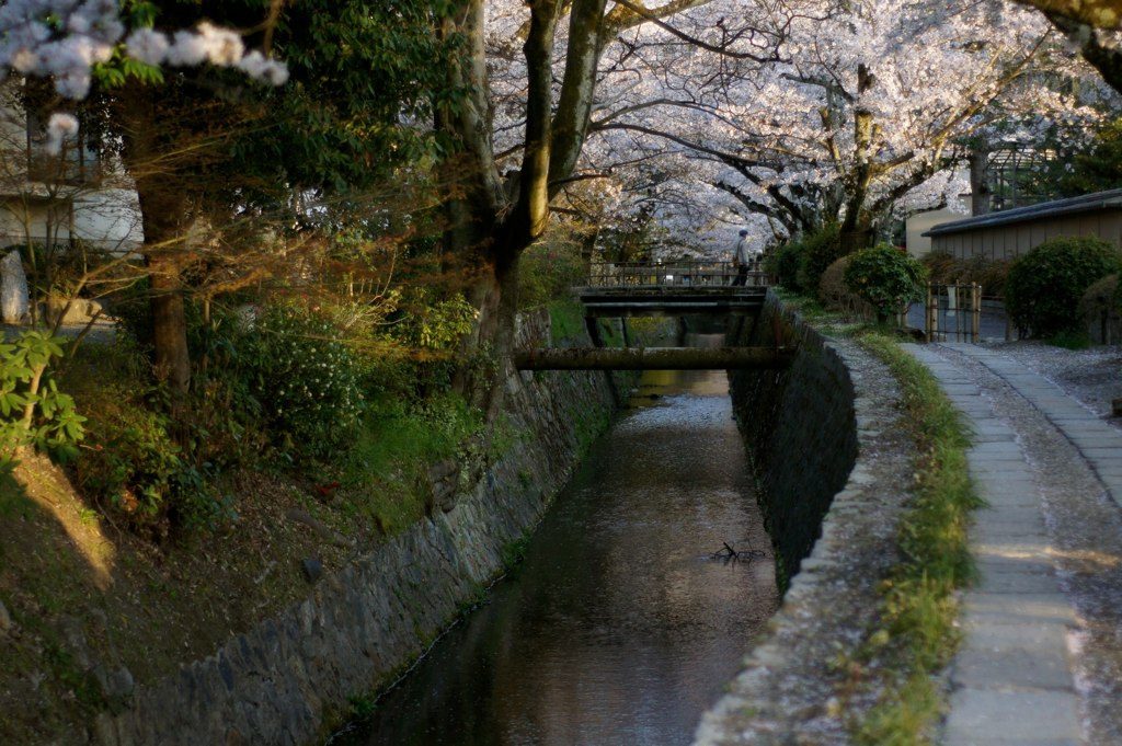 Uji Day Trip